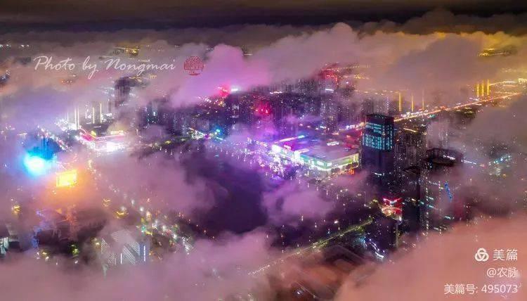 赵清阁:红颜不敌原配,为老舍一生未嫁,晚年否认两人恋情